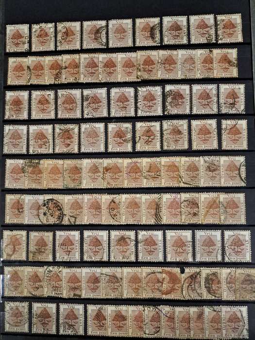 2.1 Cape of Good Hope and Transvaal Collection - Clearance sale