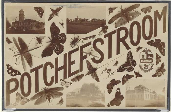 Transvaal: POTCHEFSTROOM CANTONMENT with the S.A.C. 2 cards.