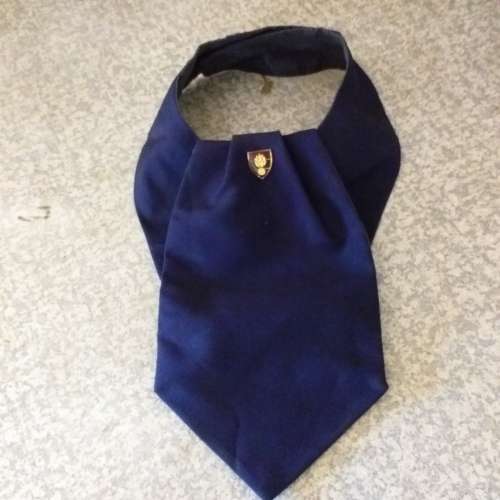 School of Engineers Cravat
