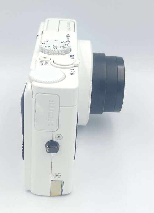 Nikon COOLPIX P310 16.1 MP Digital Camera with 4.2x Zoom NIKKOR Glass Lens and Full HD 1080p Video