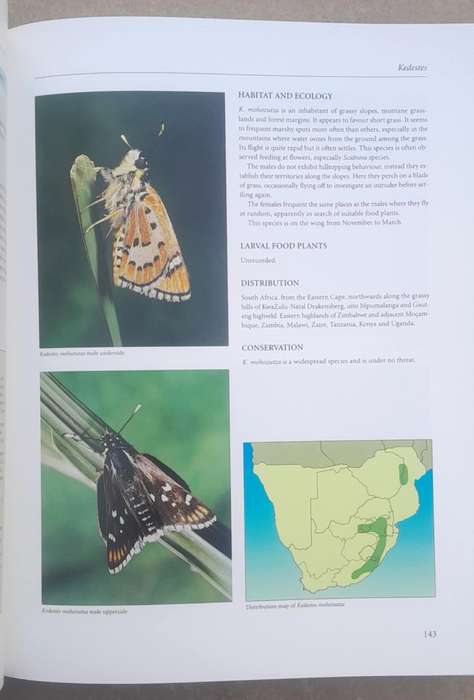 LIVING BUTTERFLIES OF SOUTH AFRICA