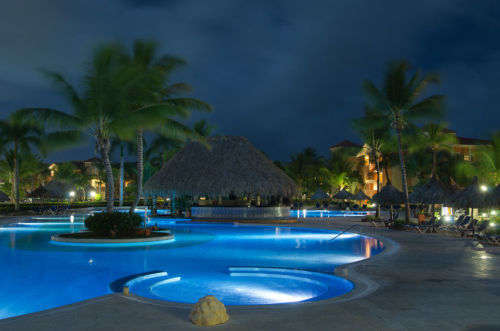 LED STRIP LIGHTS: 12Volts Waterproof SMD3528 BLUE Colour 5-metre Rolls. Collections allowed.