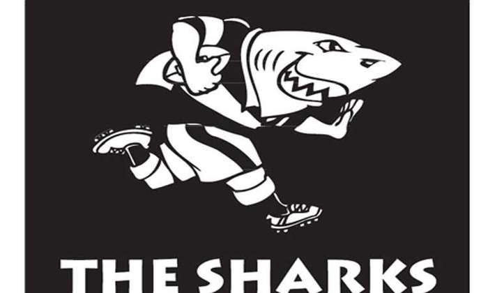 Sharks Rugby Ice Buckets. Brand New Products. Collections Are Allowed.