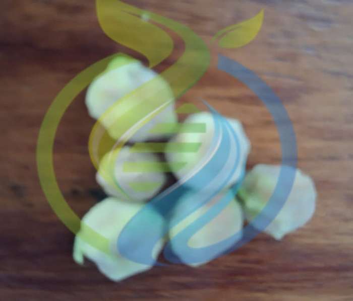 Neem seed