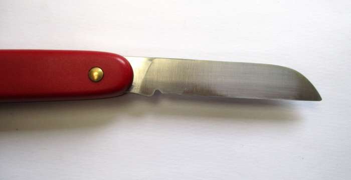 Horticultural Victorinox Swiss Army Knife -- Pruner / pruning knife / garden knife
