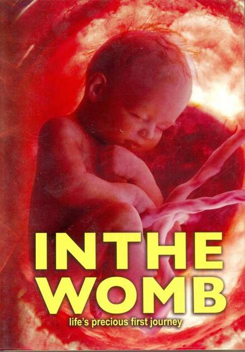 IN THE WOMB life's precious first journey