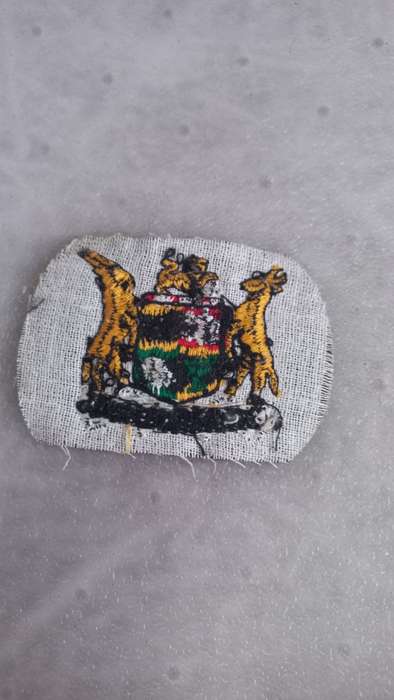 NICE ORIGINAL " EX UNITATE VIRES " ARMY BADGE  65 mm X 48mm
