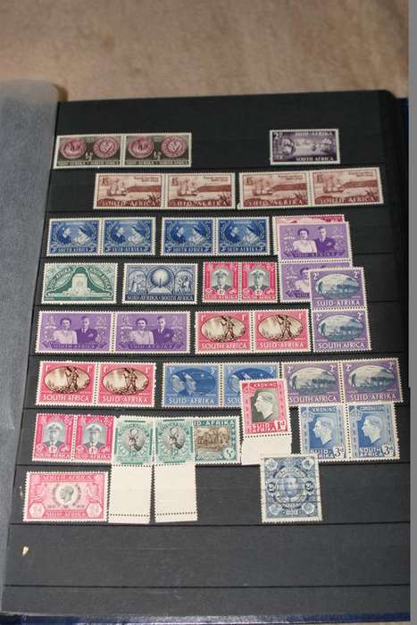 Union of South Africa mint unhinged  collection accumulation extras