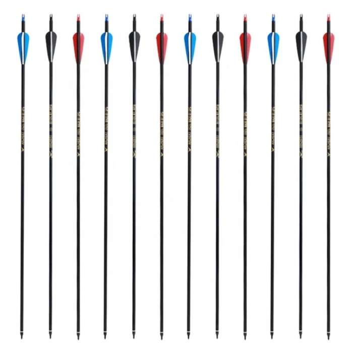 20 PACK CARBON ARROWS FOR HUNTING OR TARGETS