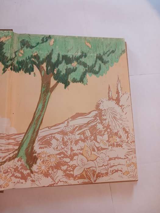 Our South African Flora edited by R.H. Compton