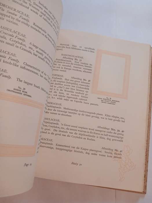 Our South African Flora edited by R.H. Compton