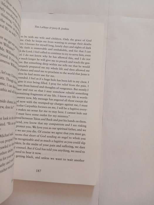 Nicolae, The Rise of Antichrist by Tim Lahaye and Jerry B. Jenkins