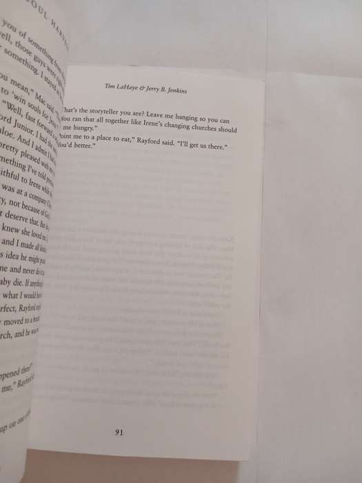 Soul Harvest, The World Takes Sides by Tim Lahaye and Jerry B. Jenkins