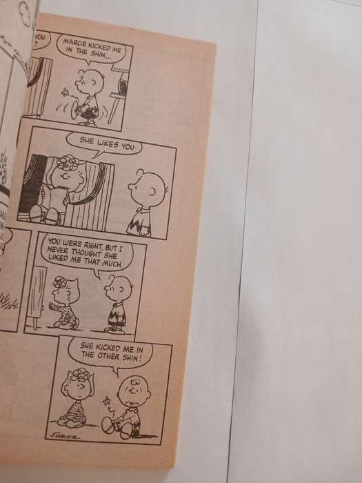 Charlie Brown, She Likes You, Charlie Brown by Charles M. Schulz