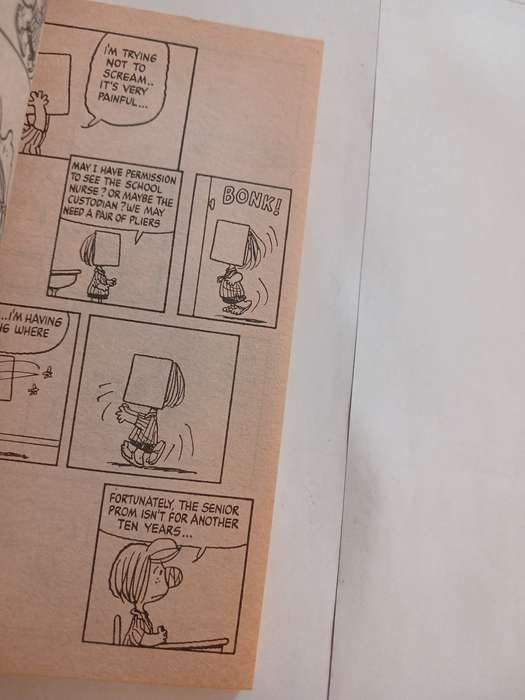 Charlie Brown, She Likes You, Charlie Brown by Charles M. Schulz
