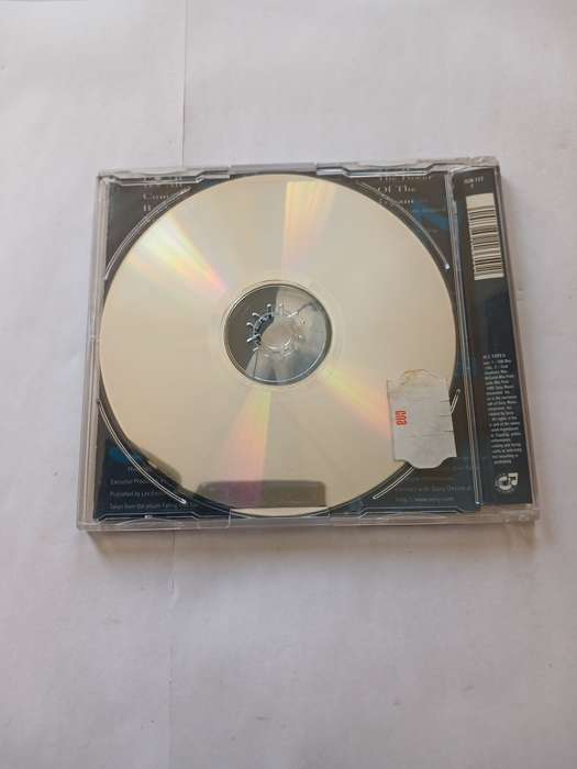 Celine Dion, It`s All Coming Back to me Now CD single