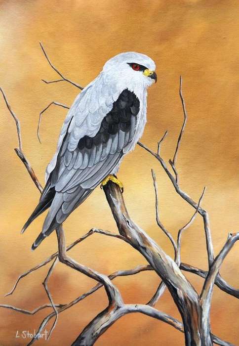 'High as a Kite' by Laura Stobart