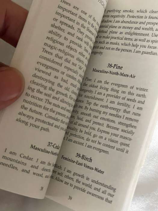 Shaman Wisdom Cards - Leita Richesson