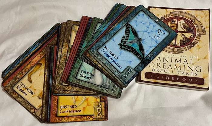 Animal Dreaming Oracle Cards - Scott Alexander King