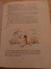 MISSING BOOK - AAA - Stories Van Oral Oor - (Hardeband)