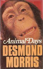 MORRIS, Desmond - Animal Days - (Hardcover in Wrapper)
