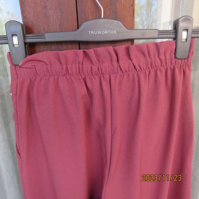 Rouge pink wide legged pants with pleated front-elastic back. Front belt. Size 30