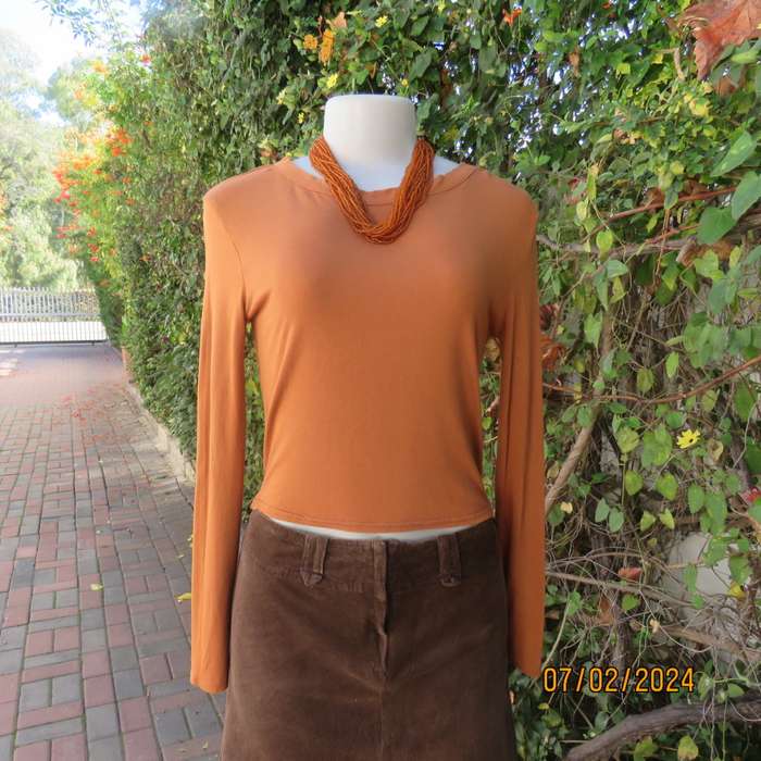 Cropped long sleeve beautiful rust colour viscose stretch top. Scooped neckline. Size 35 .As new