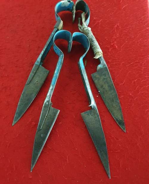 2 X ANTIQUE TO VINTAGE HAND SHEEP SHEARS.