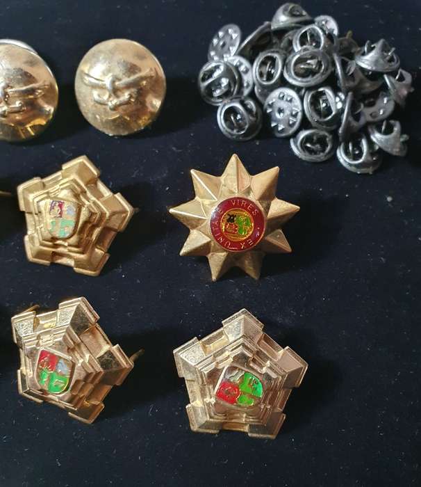 33 X MIX LOT RANKS,PIPS,BADGES, BUTTONS PLUS 30 X BUTTERFLIES. ONE BID FOR ALL.