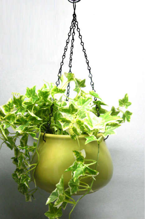 Ceramic Planters 5767C Shiny - Lge