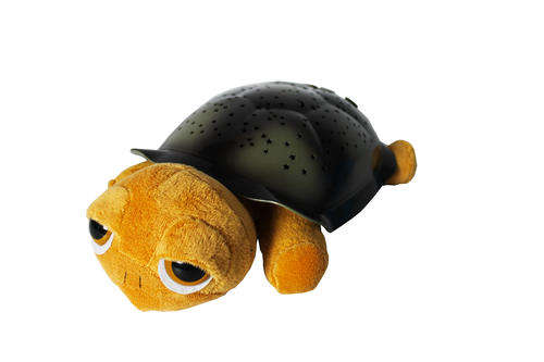 Big Eyes Turtle - Beige