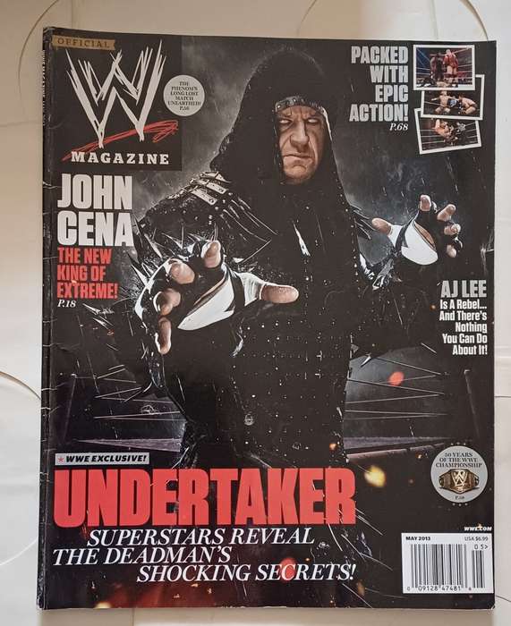 WWE MAGAZINE - JUNE 2013