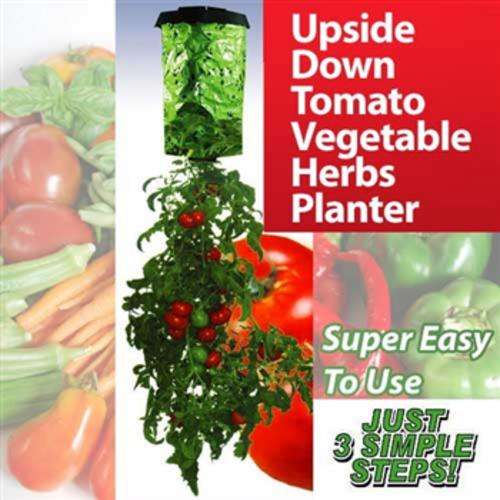 Hanging Tomato Planter Upside Down Plant