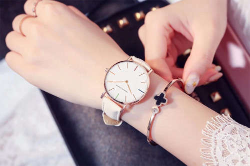 Hannah Martin CW-3690 Classical Women Ladies Brand Watch