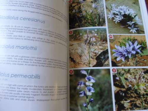 Wild Flowers of the ROGGEVELD and TANQUA. Signed copy