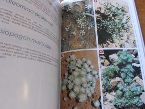 Wild Flowers of the ROGGEVELD and TANQUA. Signed copy