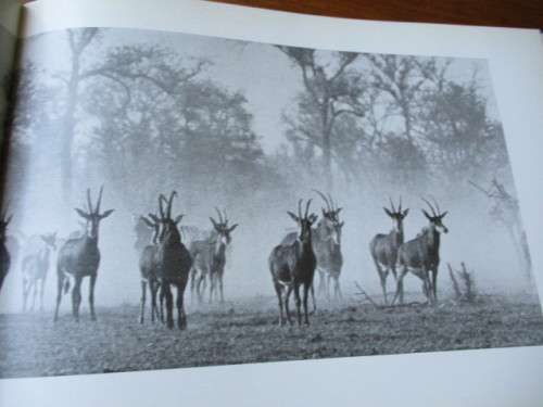 60 YEARS KRUGER PARK 1958 R.J. Labuschagne W.F.Schack