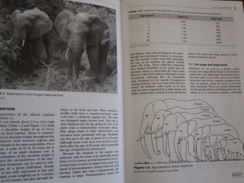 INTENSIVE WILDLIFE PRODUCTION IN SOUTHERN AFRICA J du P Botma N van Rooyen