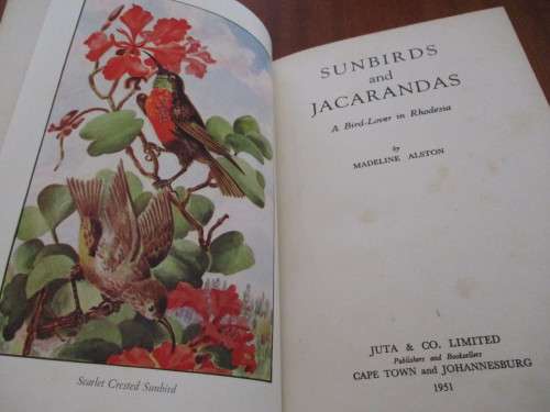 A Bird-lover in Rhodesia. SUNBIRDS AND JACARANDAS. Madeline Alston