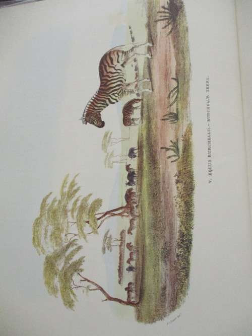 Portraits of the Game and Wild Animals of Southern Africa  -  Capt W Cornwallis Harris