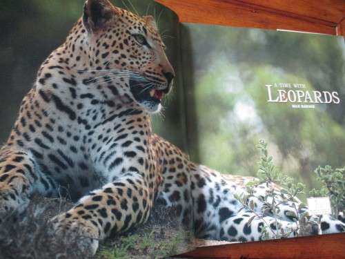 A TIME WITH LEOPARDS - Dale Hancock