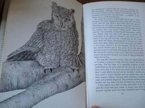 Owned by an Eagle - Gerald Summers