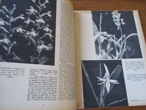LANTERN Vol. XIII No.1 September 1963