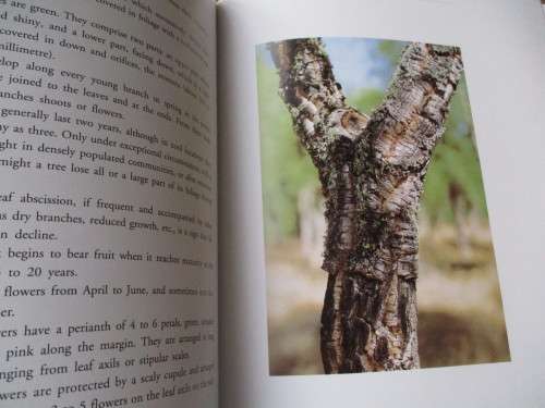 THE CORK. The Cork Oak in Portugal and the Mediterranean Basin