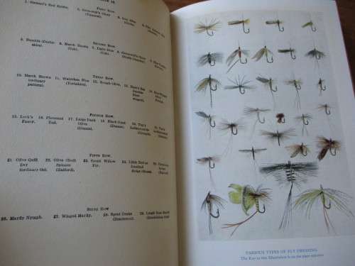 TROUT FISHING  FROM ALL ANGLES  Eric Taverner