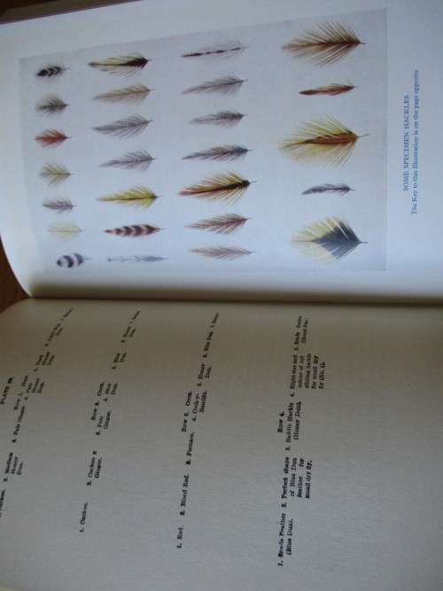 TROUT FISHING  FROM ALL ANGLES  Eric Taverner