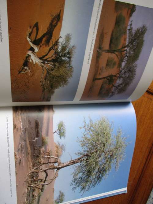 Die Namib en die Kalahari  Dorslande van Suider-Afrika  Hennie Steyn