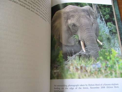 THE SECRET ELEPHANTS  Gareth Patterson