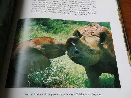 A Cry from the Wild. A Tale of Two Orphans. Lissa Ruben