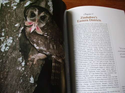 Kingdom of Daylight: Memories of a Birdwatcher. PETER STEYN